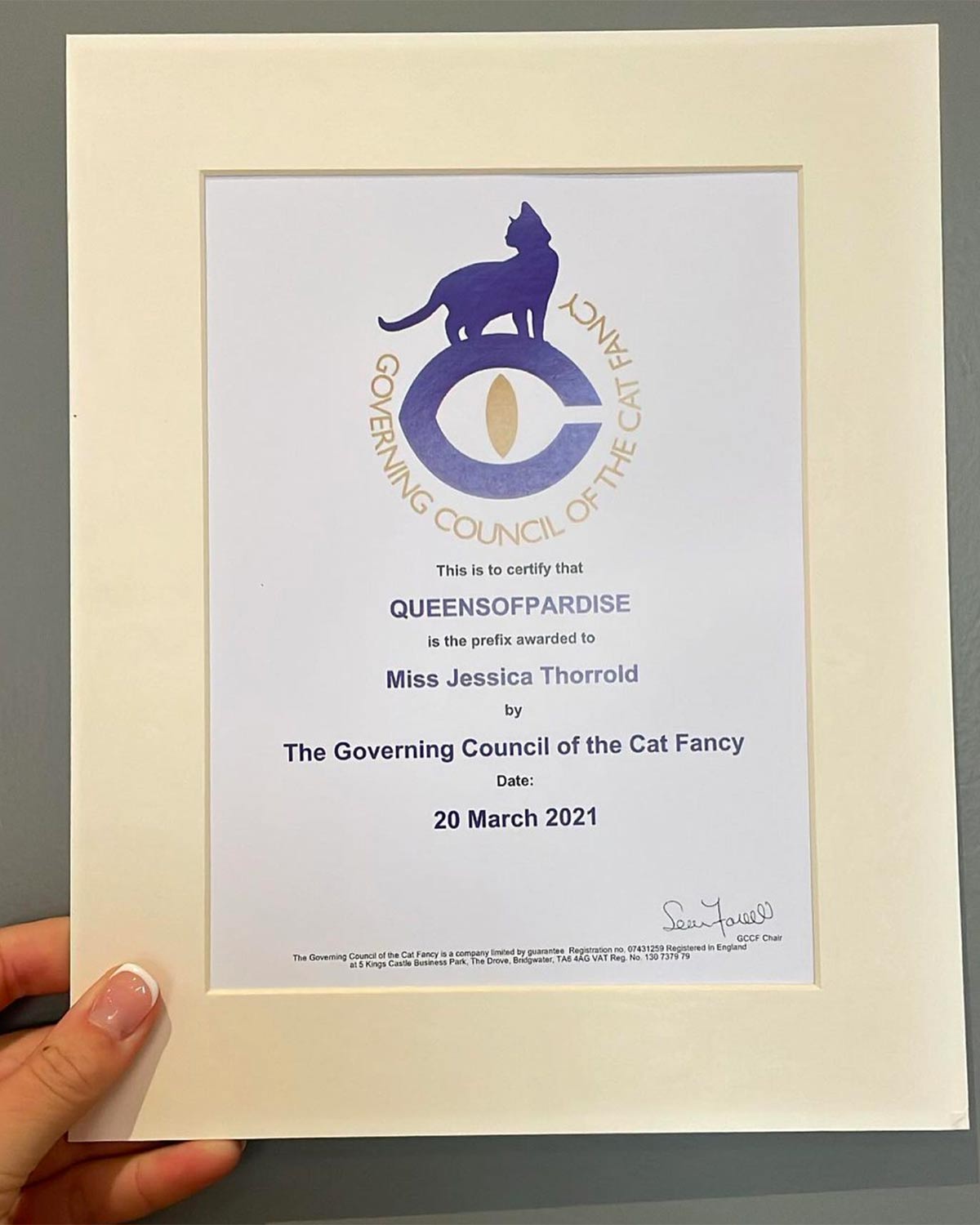 The Governing Council of the Cat Fancy - Certificate